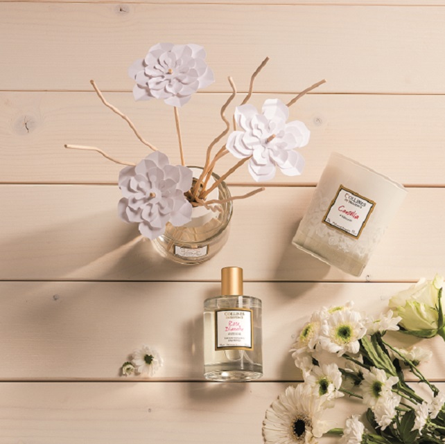 Collines de Provence, les bougies parfumées « Fleurs blanches »